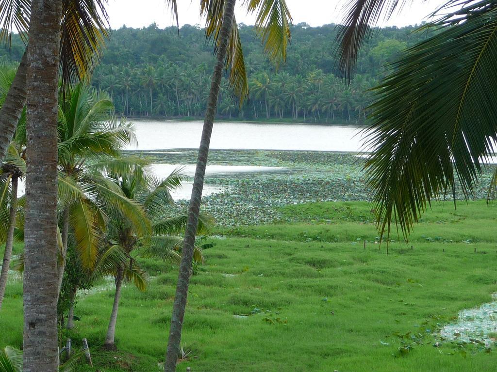كوفالام Ganesh Ayurveda Holiday Home Bed And Breakfast المظهر الخارجي الصورة
